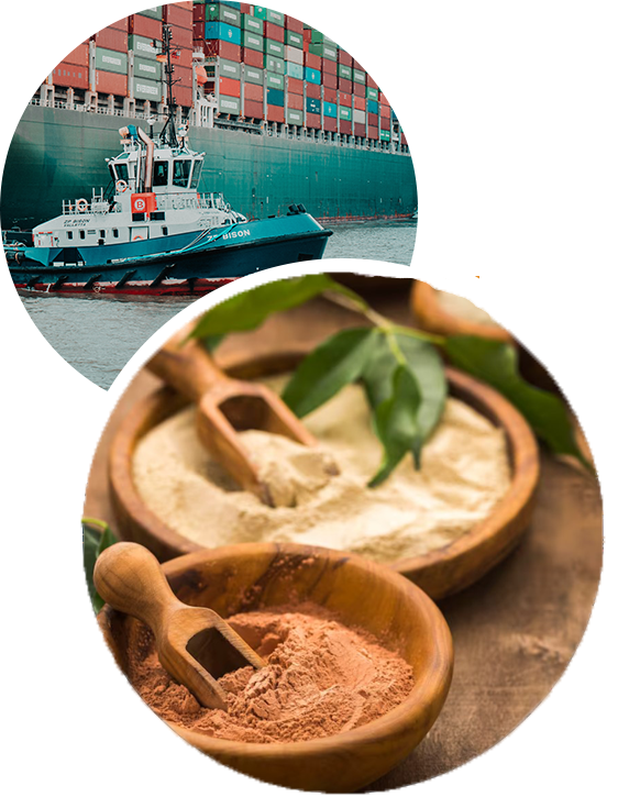 about transport